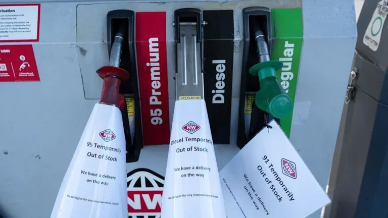 IEA Solution to Biggest Oil Shock: Work From Home, Drive Slower